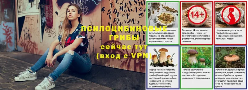 хочу   Крымск  Псилоцибиновые грибы MAGIC MUSHROOMS 